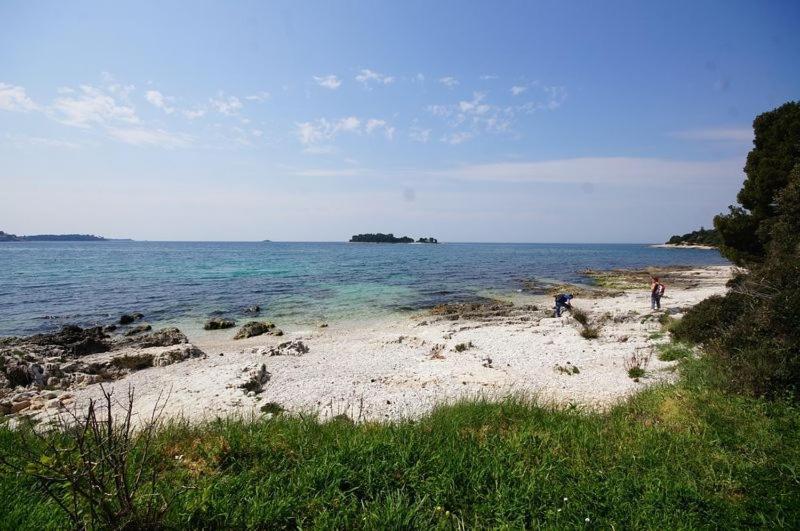 In With Terrace, Air Conditioning, W-lan 81-6 * Rovinj